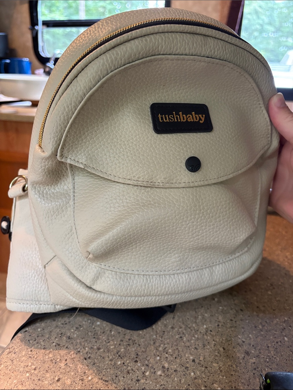 The Tushbaby Hip Carrier